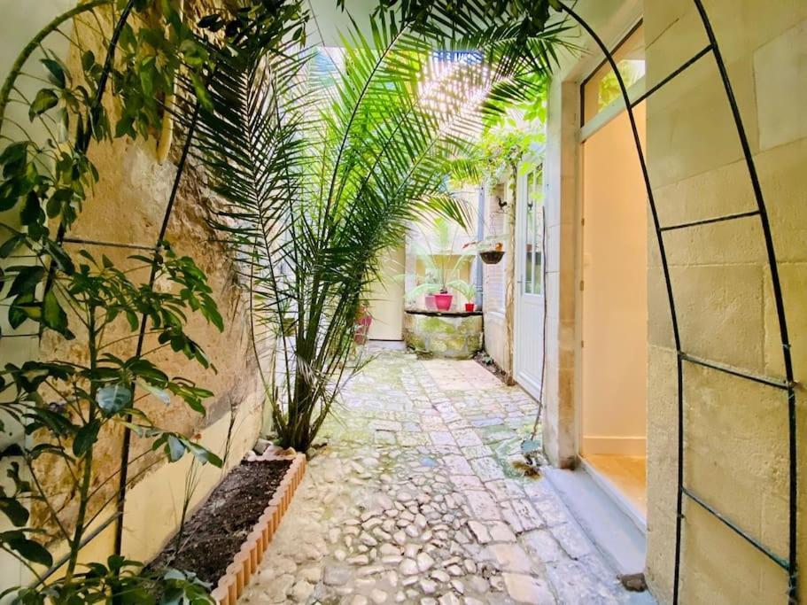 Apartamento Le Logis Des Templiers Vieux Port La Rochelle  Exterior foto